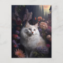 Suche nach angora postkarten Katzen