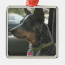 Suche nach heeler ornamente Haustiere