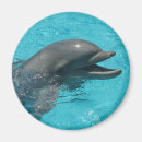 Suche nach delphine magnete Schwimmen
