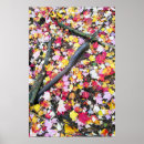 Suche nach unter boden poster Natur