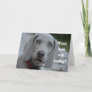 Suche nach hunde humor karten Haustier