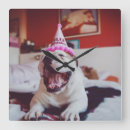 Suche nach bulldogge wanduhren Lustig