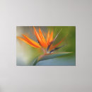 Suche nach blume leinwandbilder Grün