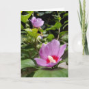 Suche nach aphrodite karten Blume