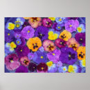 Suche nach flowers poster Colorful
