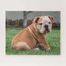 Suche nach bulldog puzzle Baby