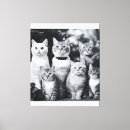 Suche nach schwarze katzen leinwandbilder Drucke