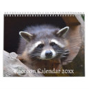 Suche nach raccoon kalender Wildtiere