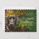 Suche nach weibchen karten Feiern