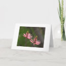 Suche nach naturfoto karten Blumen