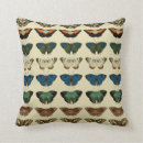 Suche nach entomologie kissen Insekten