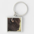 Suche nach bison schlüsselanhänger Tiere