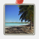 Suche nach insel der palmen ornamente Natur