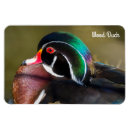 Suche nach holzenten magnete Vogelbeobachtung