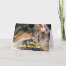 Suche nach küssen der katzen karten Kuss