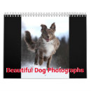 Suche nach hunde kalender Niedlich