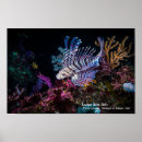 Suche nach löwe poster Elegant