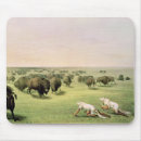 Suche nach amerikanischer büffel mousepads George