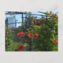 Suche nach trompete blume poster Fotografie