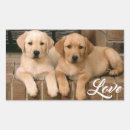 Suche nach labrador retriever aufkleber Welpen