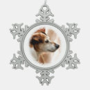 Suche nach jack russell ornamente Haustiere