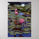 Suche nach auflage kunst Teich
