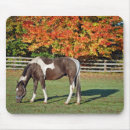 Suche nach horse mousepads Land