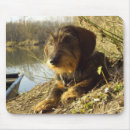Suche nach niedliche dackel mousepads Natur