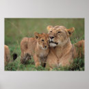 Suche nach serengeti nationalpark poster Savanne