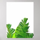 Suche nach grüne palmen poster Botanisch