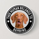 Suche nach pet buttons Foto