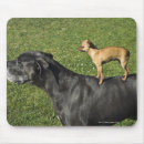 Suche nach skala mousepads Spaß