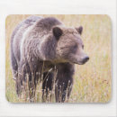 Suche nach grizzly mousepads Braun