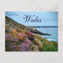 Suche nach pembrokeshire Landschaft