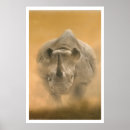 Suche nach rhino poster Wild lebende tiere