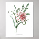 Suche nach qualität poster Blume