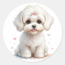 Suche nach welpe aufkleber Bug