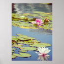 Suche nach lilly poster Teich