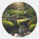 Suche nach frosch aufkleber Grün