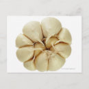 Suche nach abgeschieden postkarten Nah up