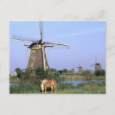 Suche nach netherlands postkarten Dutch