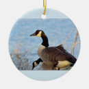 Suche nach gans ornamente Vögel