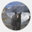 Suche nach andere säugetiere aufkleber Tragen