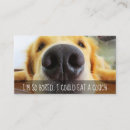 Suche nach hundeliebhaber visitenkarten Hundegehen