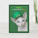 Suche nach st patrick karten Katze