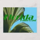 Suche nach florida küste postkarten Palme
