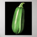 Suche nach zucchini poster Lustig