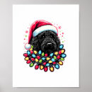 Suche nach black wolf poster Hunde