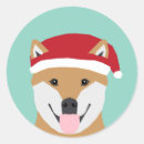 Suche nach hundeschlitten aufkleber Niedlicher hund