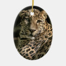 Suche nach wildkatzen ornamente Wildtiere